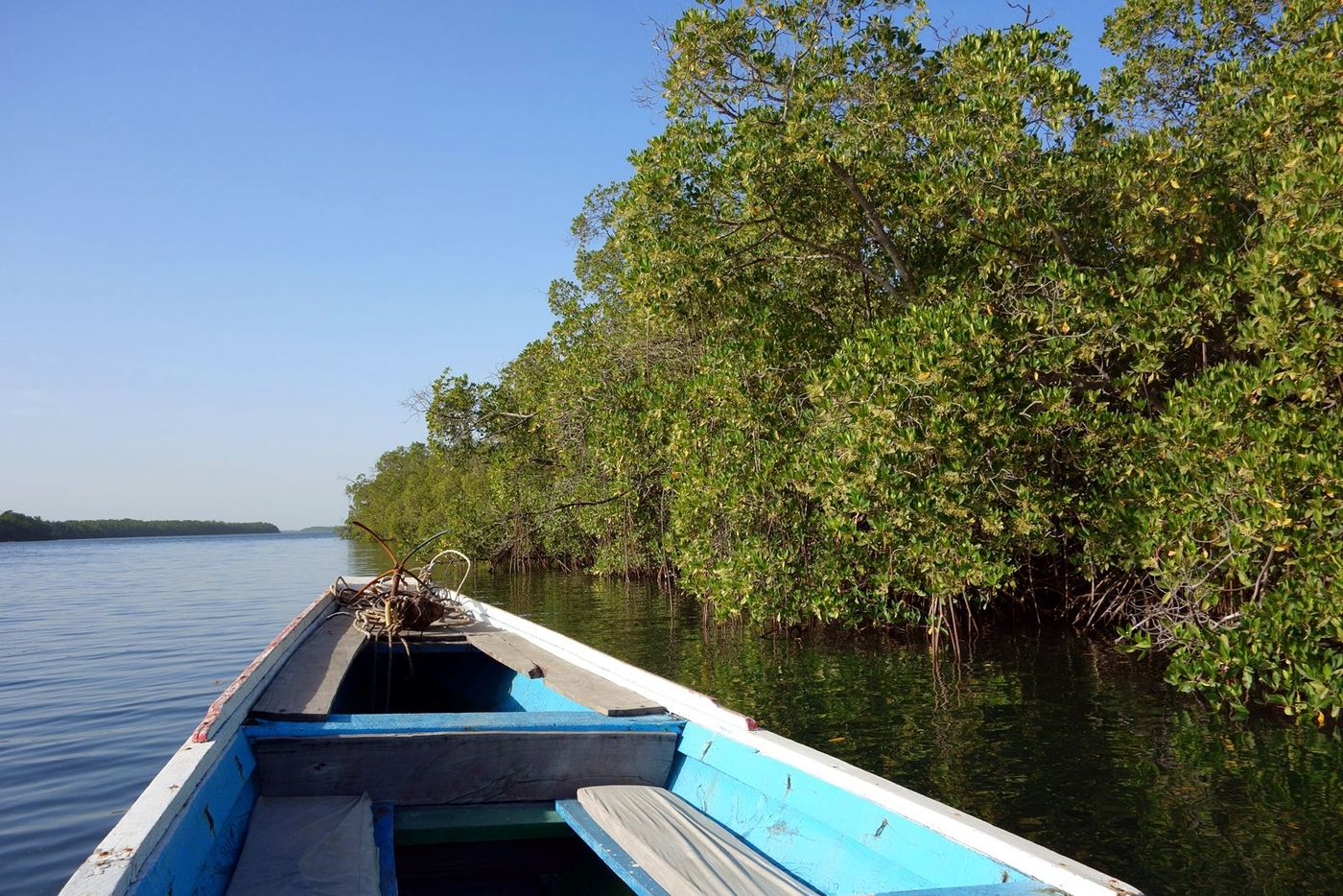 Baie Siné Saloum Sénégal