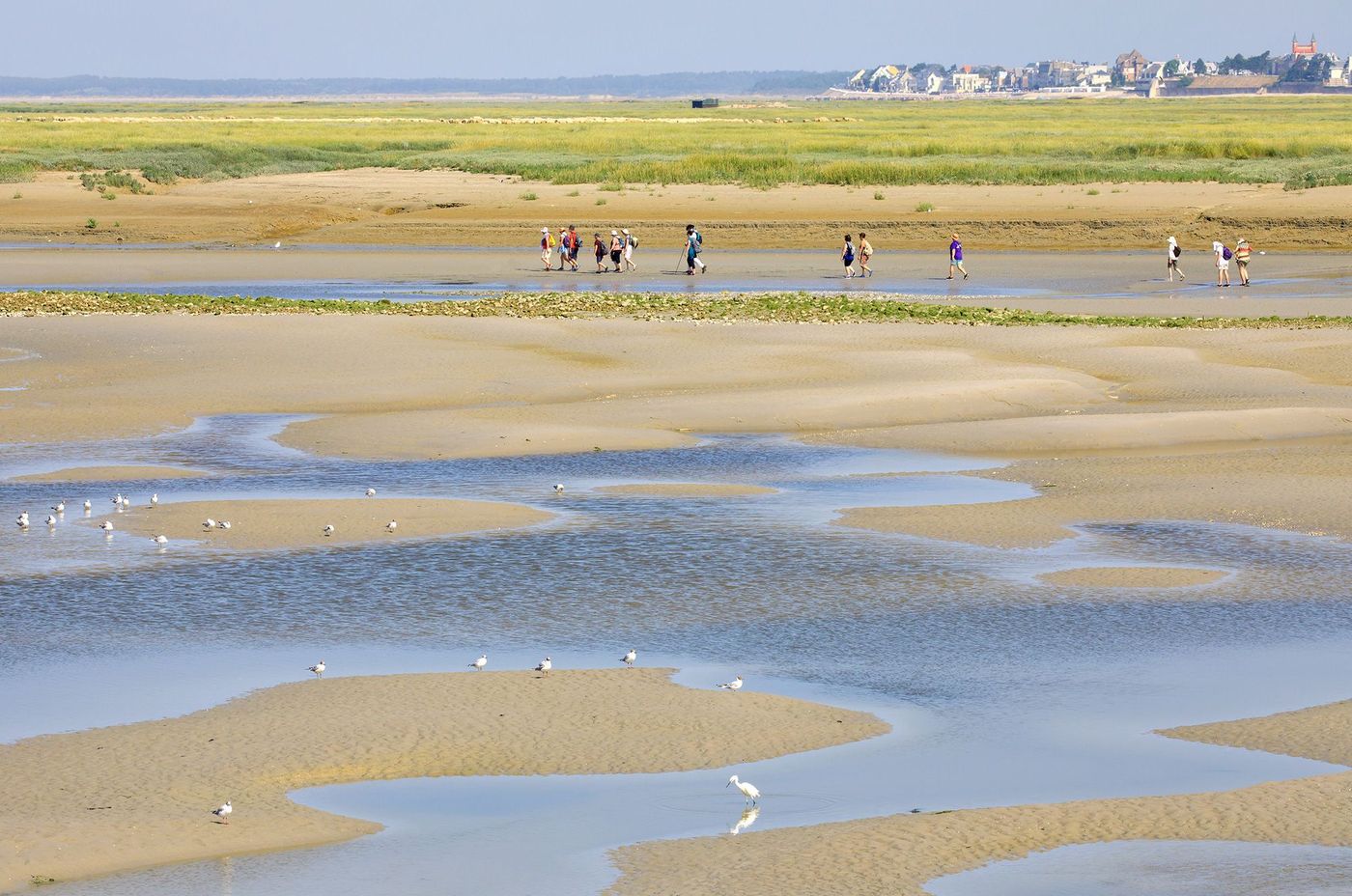 Baie de Somme Traversée entre Saint-Valery-sur-Somme et Le Crotoy
