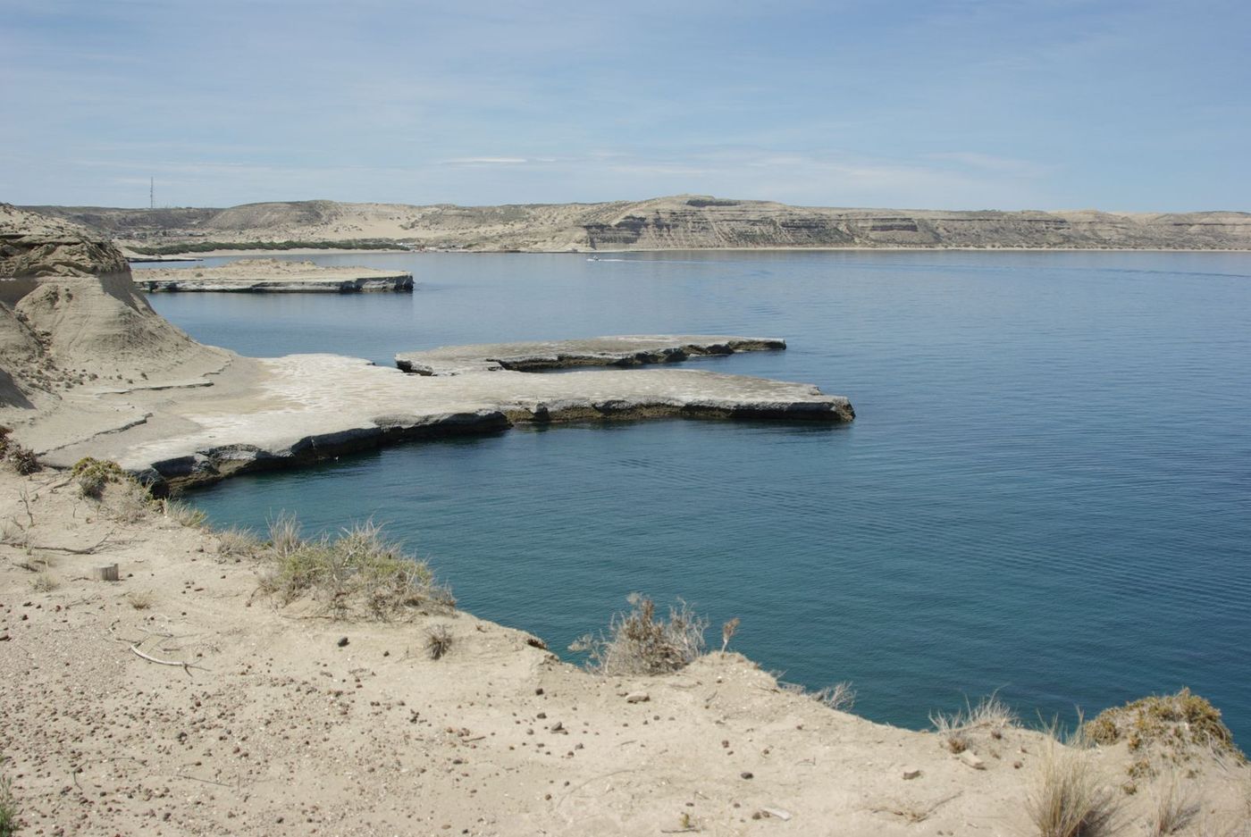 Baie Valdes Argentine Patagonie