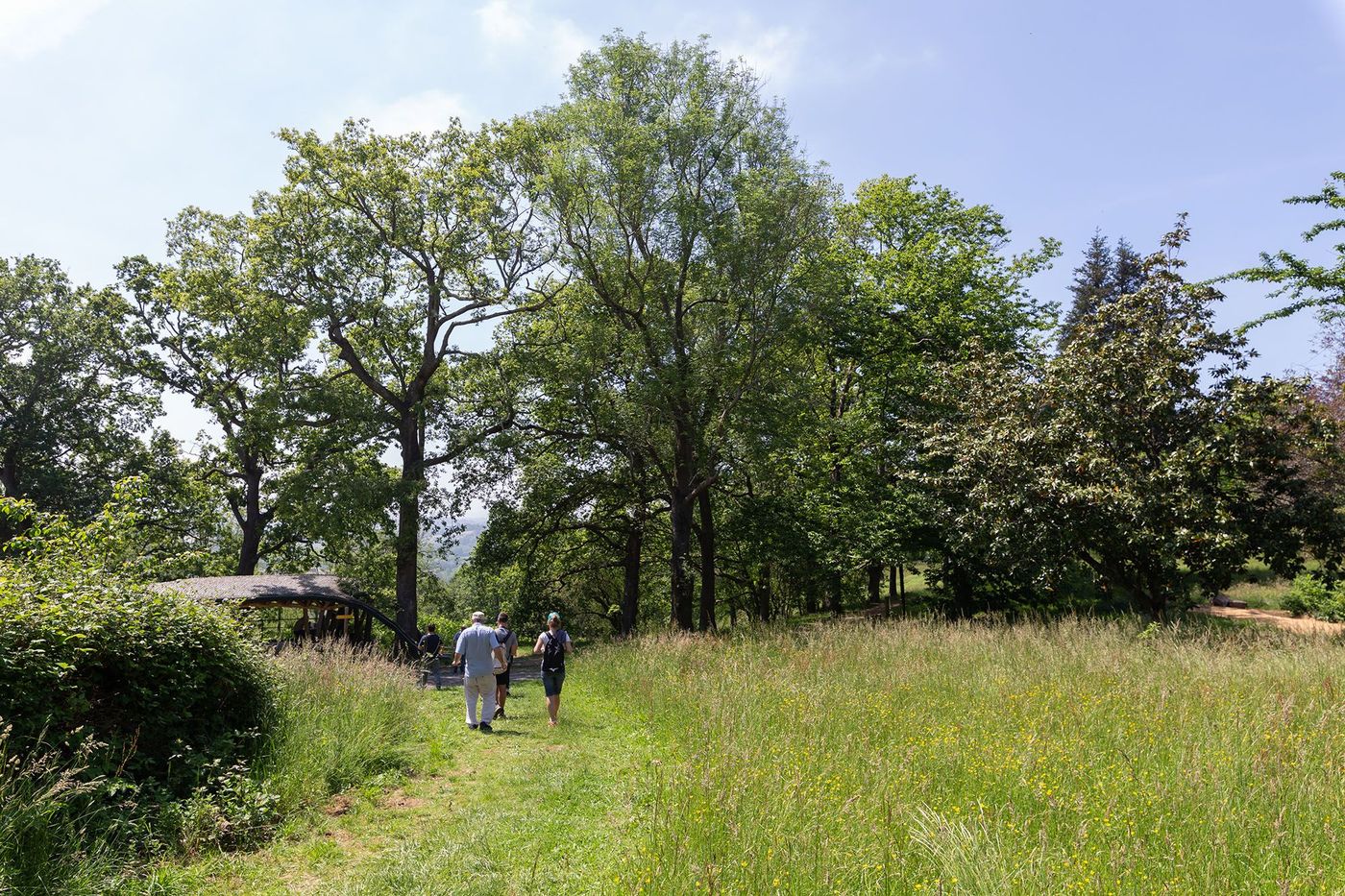 Balade sur la Colline de la Bergerie