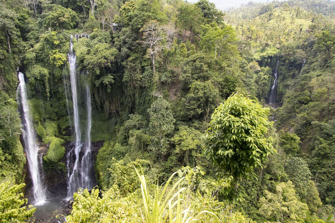 Bali Cascades de Sekumpul et Lemukih