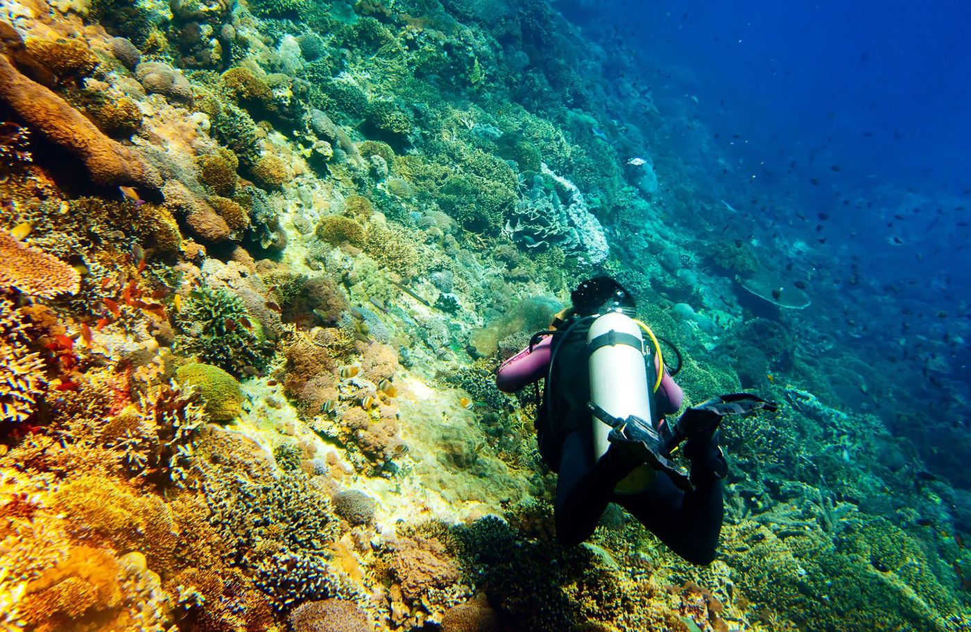 Bali Nusa Lembongan Plongée