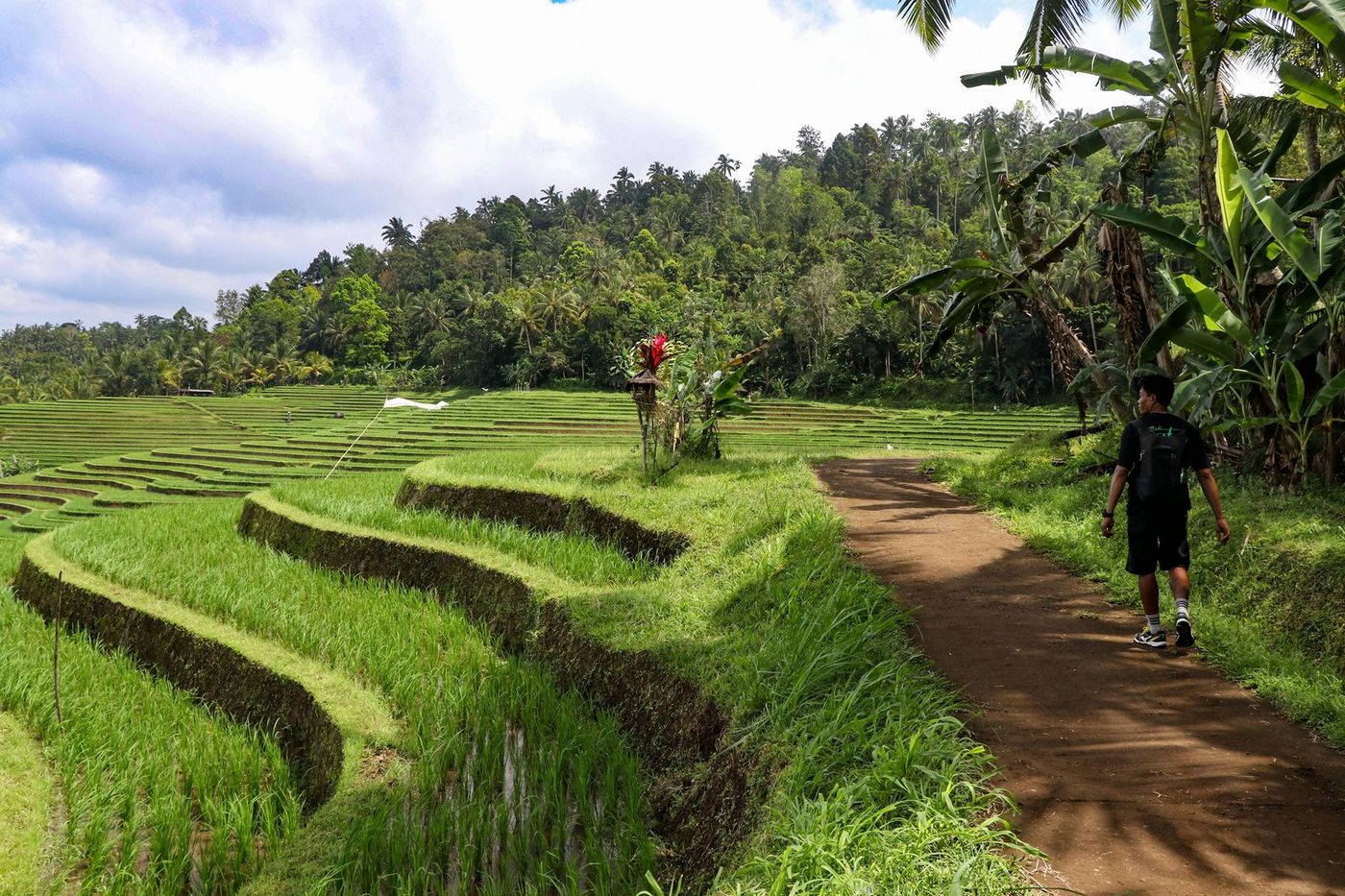 Bali Rizières Rando