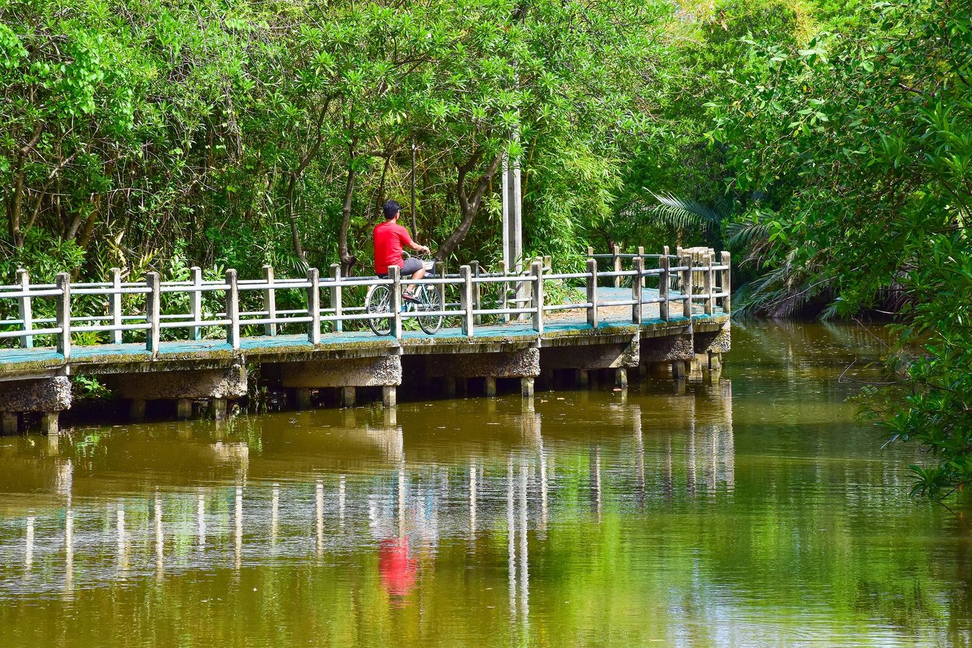 Bang Kachao Park vélo Thaïlande