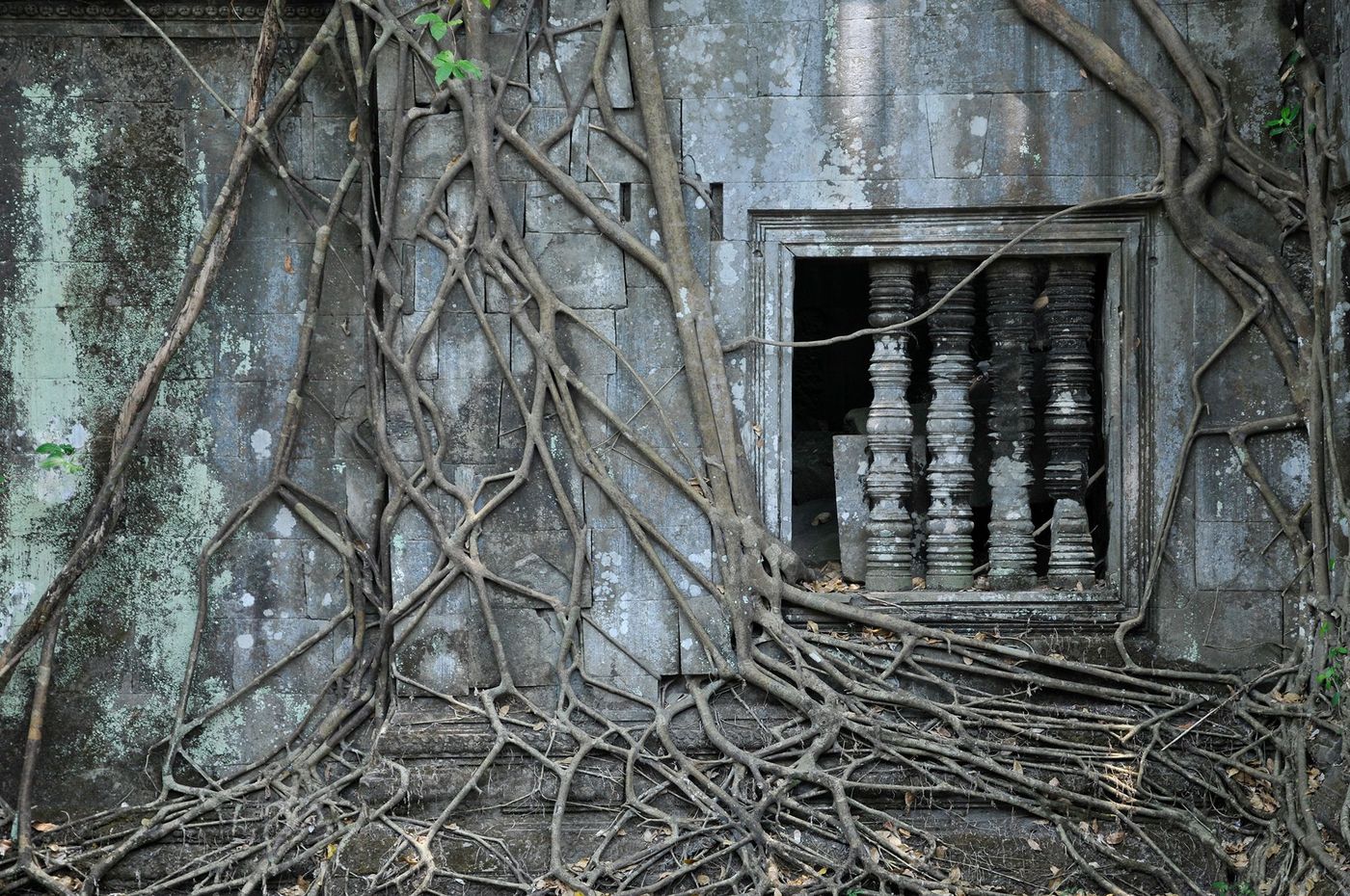 Angkor Bang Mealea