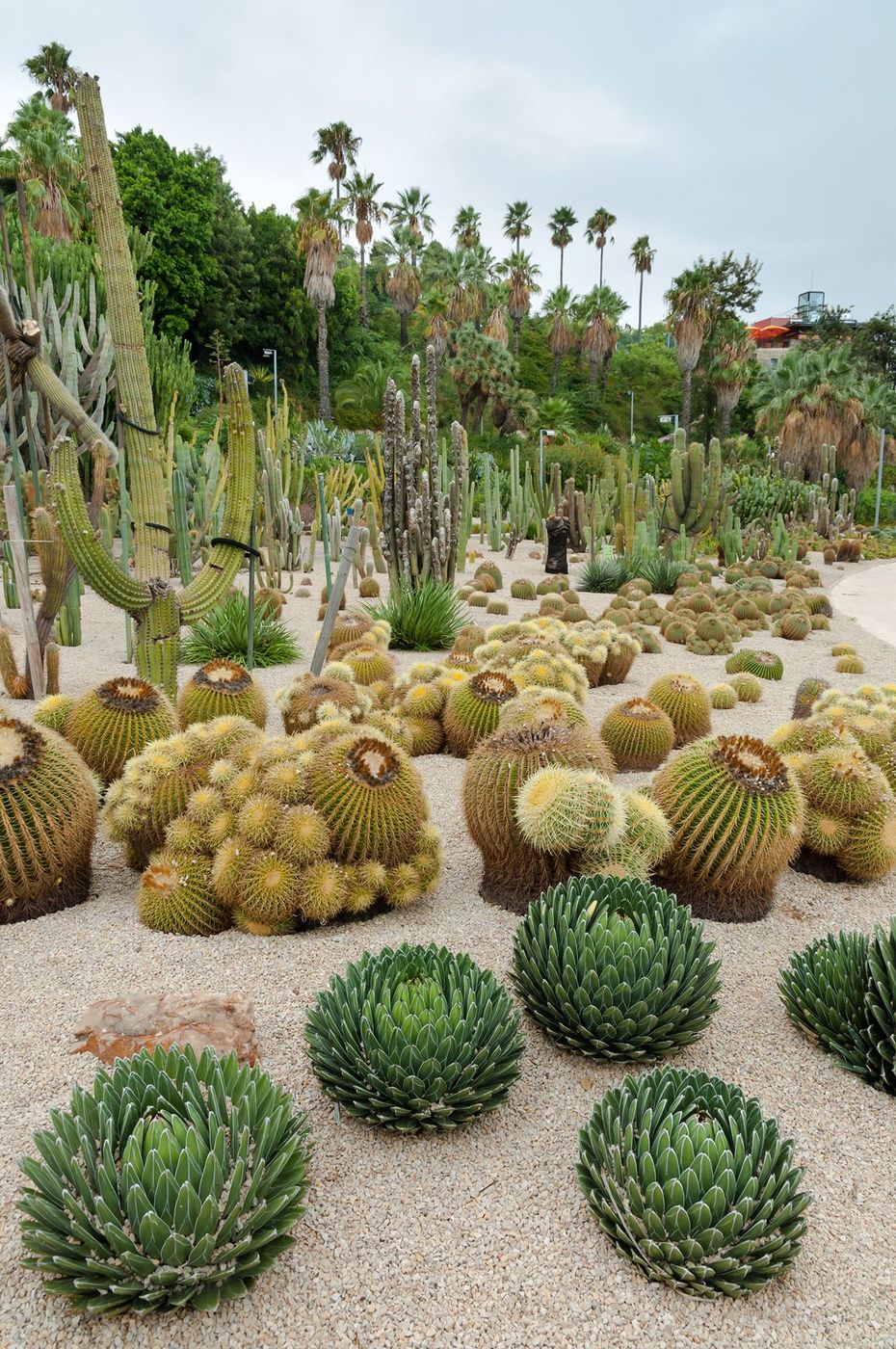 Barcelone Jardin des cactus Costa i Llobera