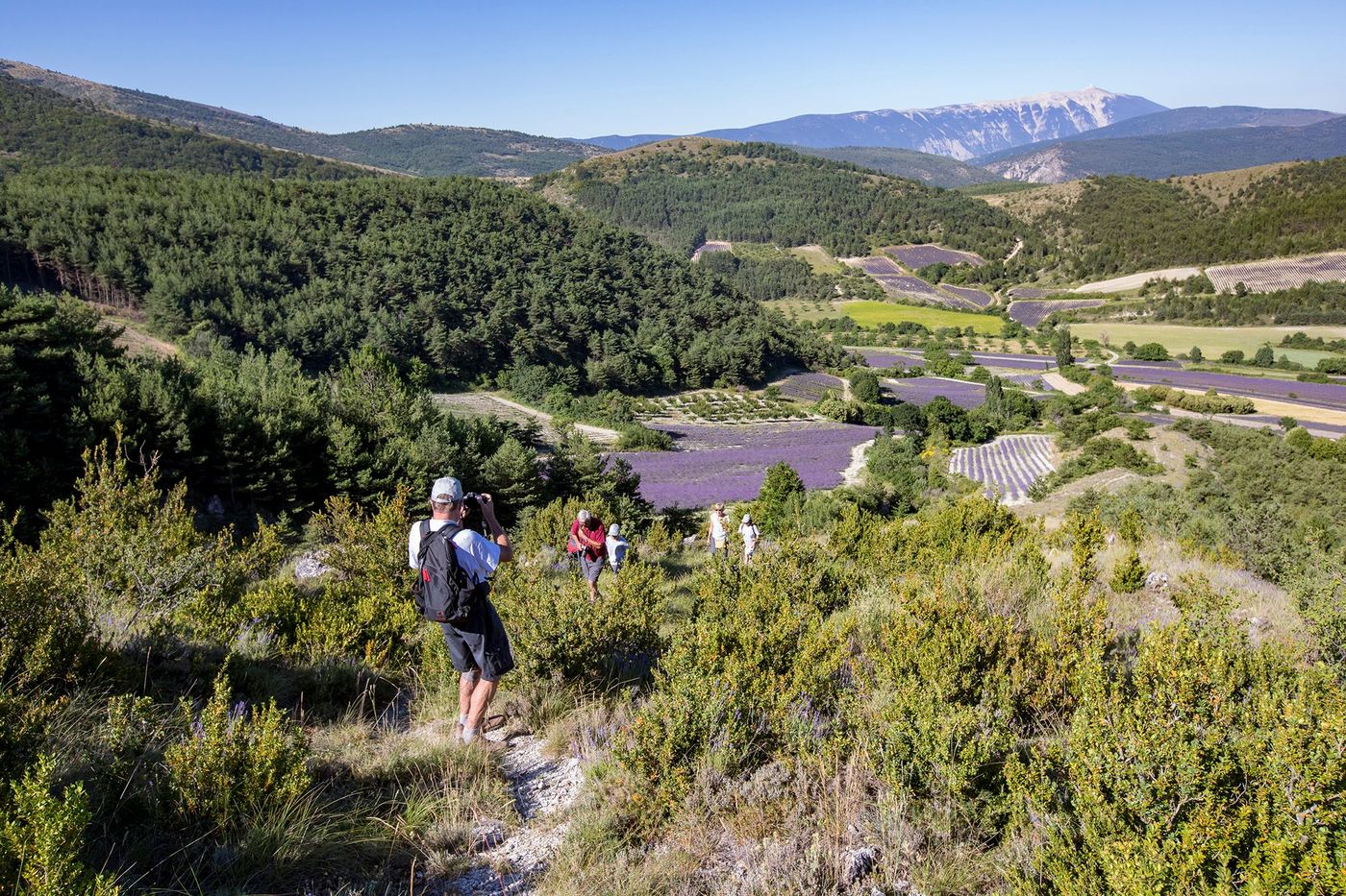Baronnies provençales