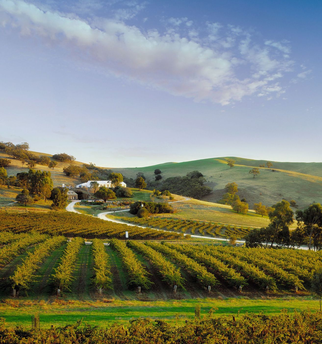 Bethany Wines, Barossa Valley, Australie du Sud