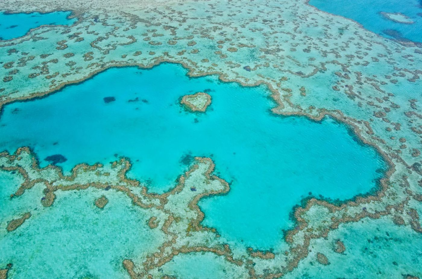 Barrière de corail Australie Océan