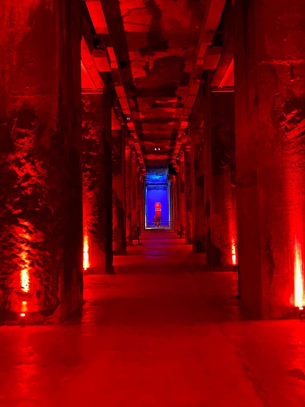 Bordeaux Bassins Lumières