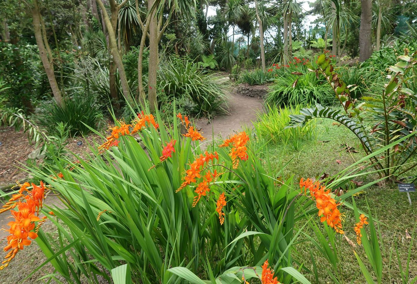 Île de Batz Jardin exotique
