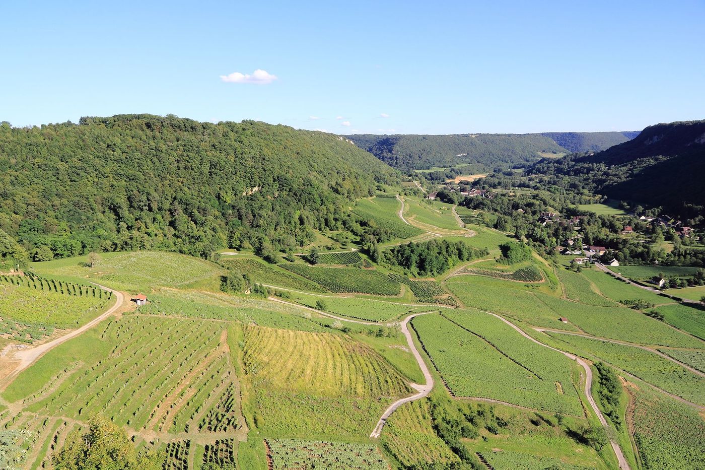 Vignobles alentours de Baume-les-Messieurs