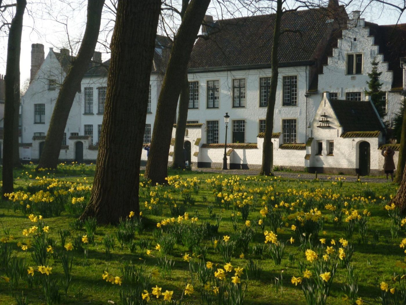 Prinselijk Begijnhof ten Wijngaarde (Béguinage princier de la Vigne)