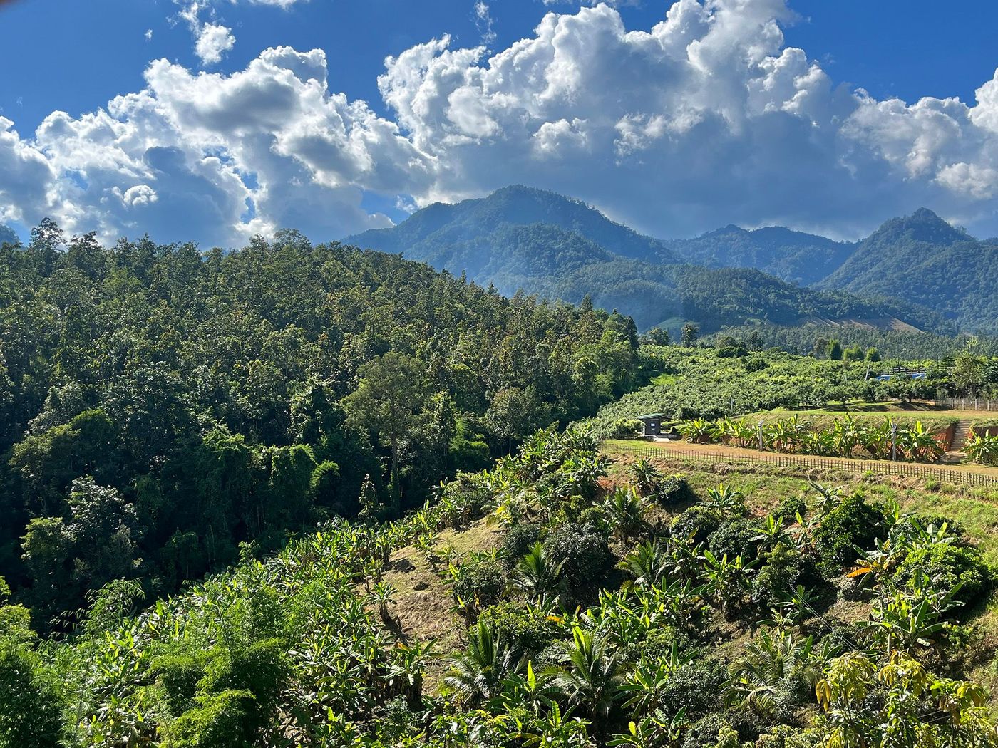 Belvédère de Yun Lai Viewpoint