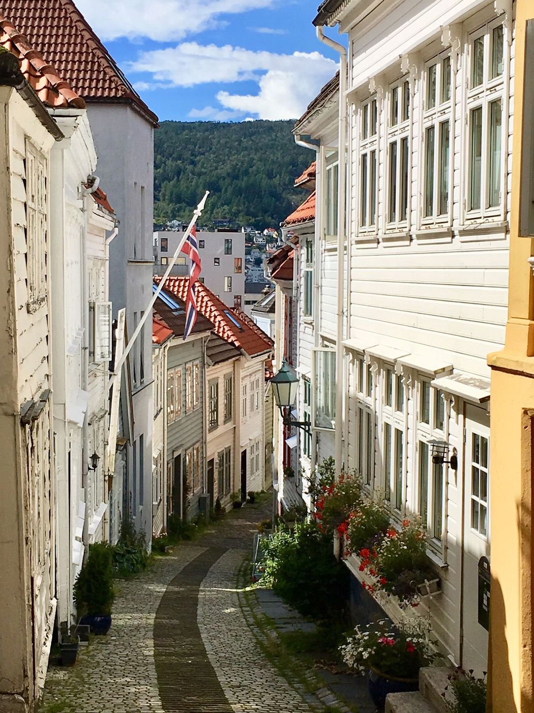 Bergen Quartier de Fjellsiden