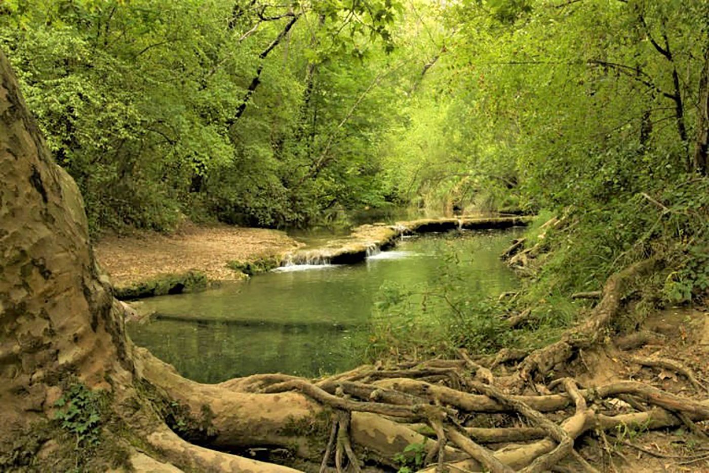 Berges du Caramy