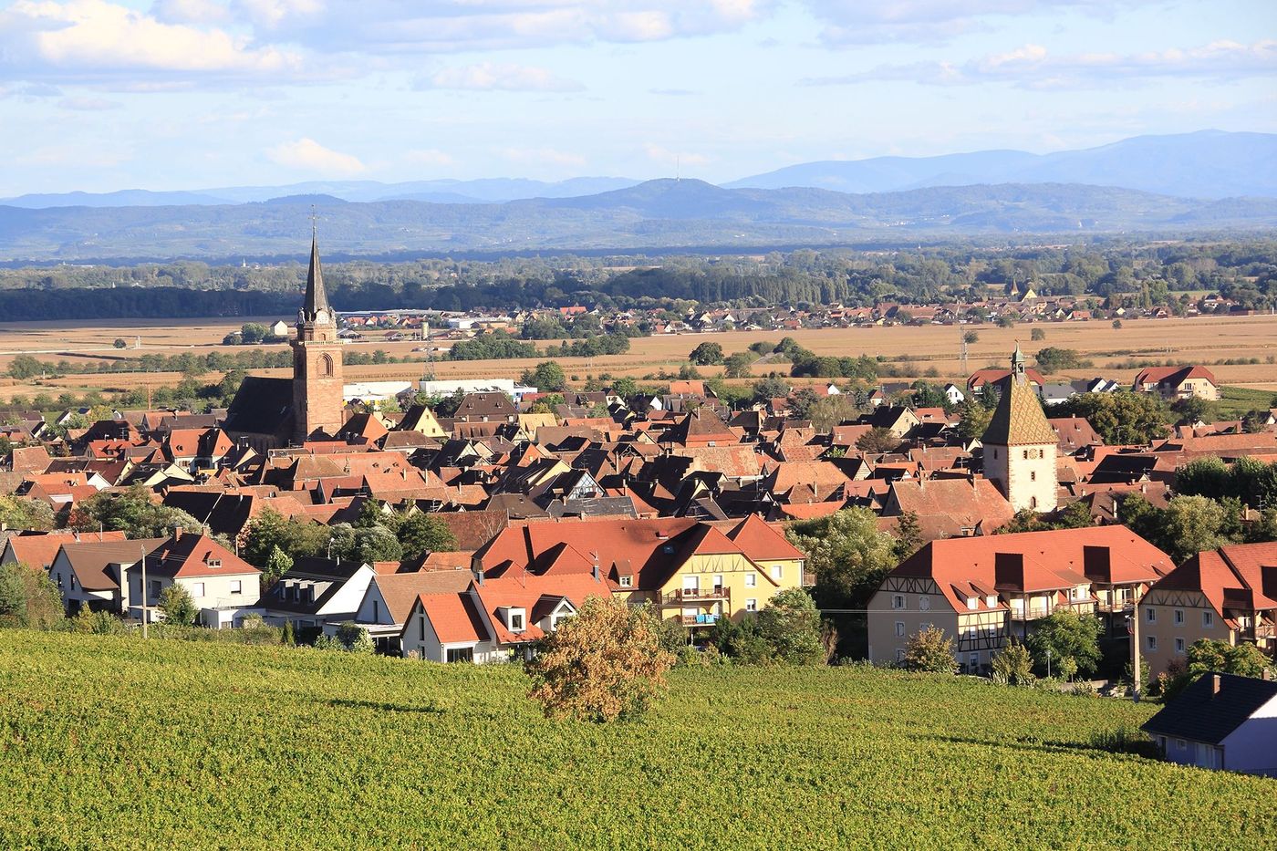 Bergheim