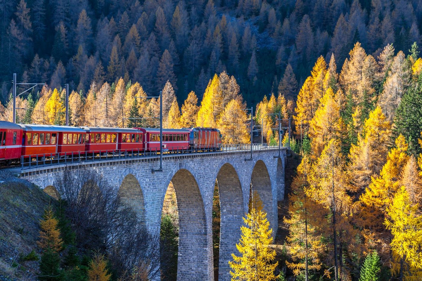 Bernina Express Train Suisse