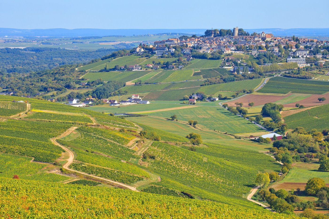 Berry Sancerre