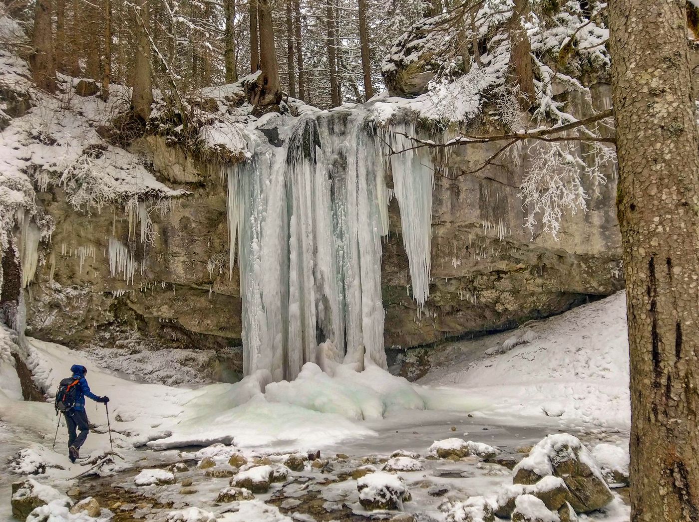 Bois Barbu - Villard-de-Lans