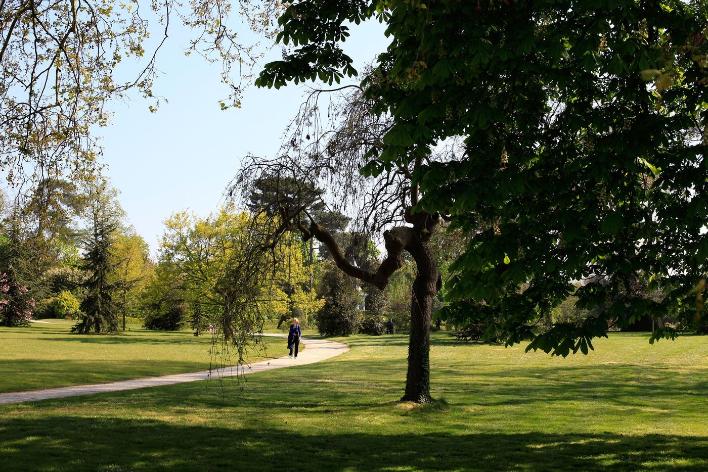 France Bois de Boulogne