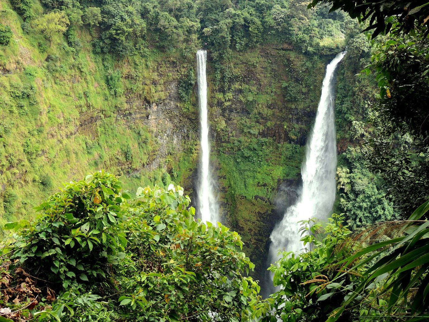 Laos Plateau des Bolovens Cascade de Tat Fan