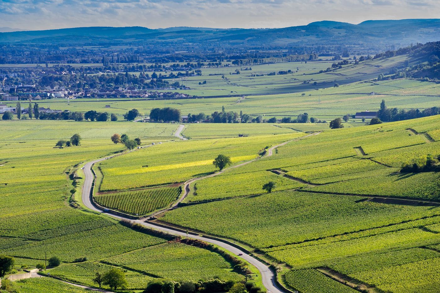 Bourgogne Colline de Corton