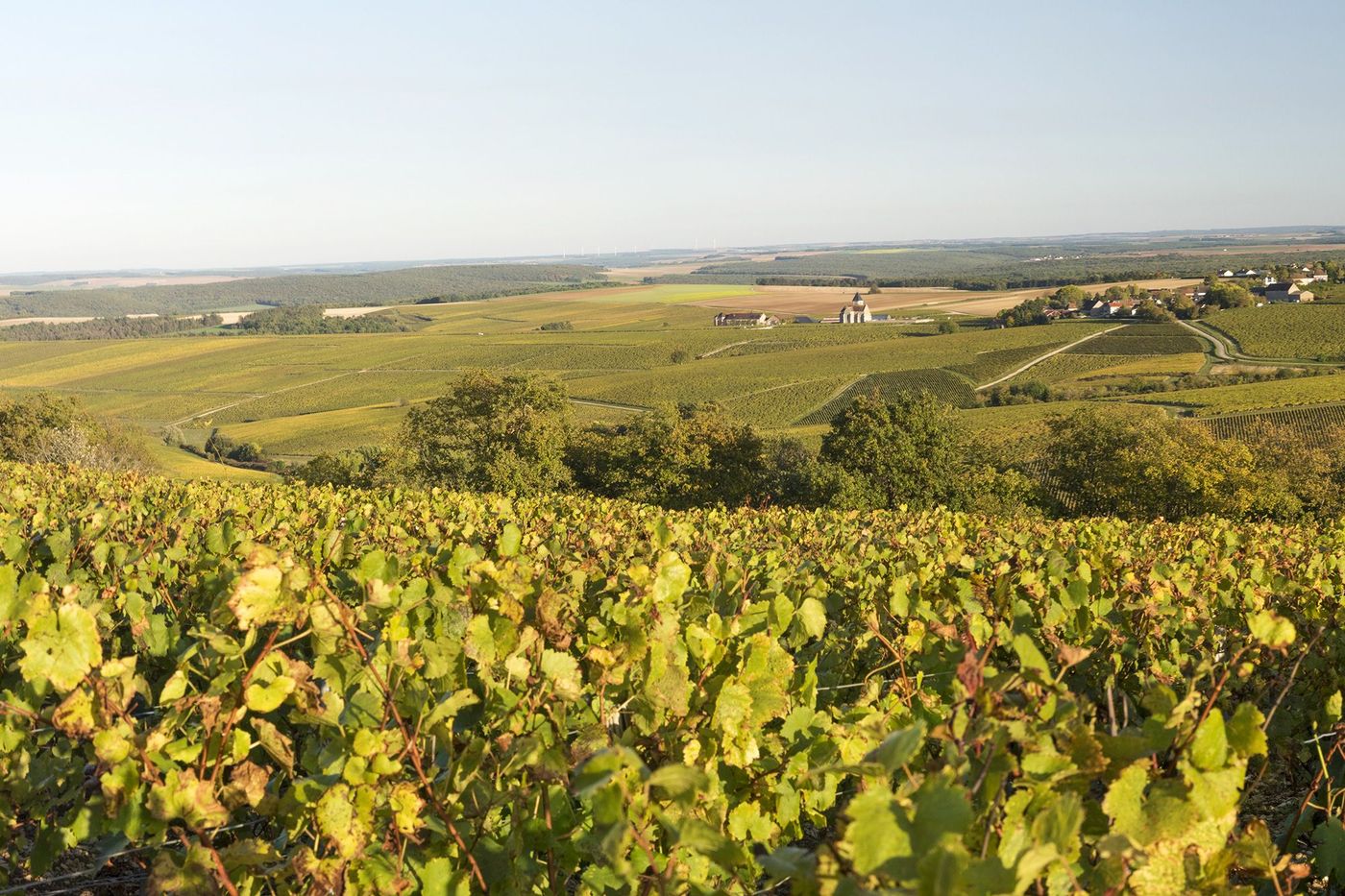 Bourgogne Prehy