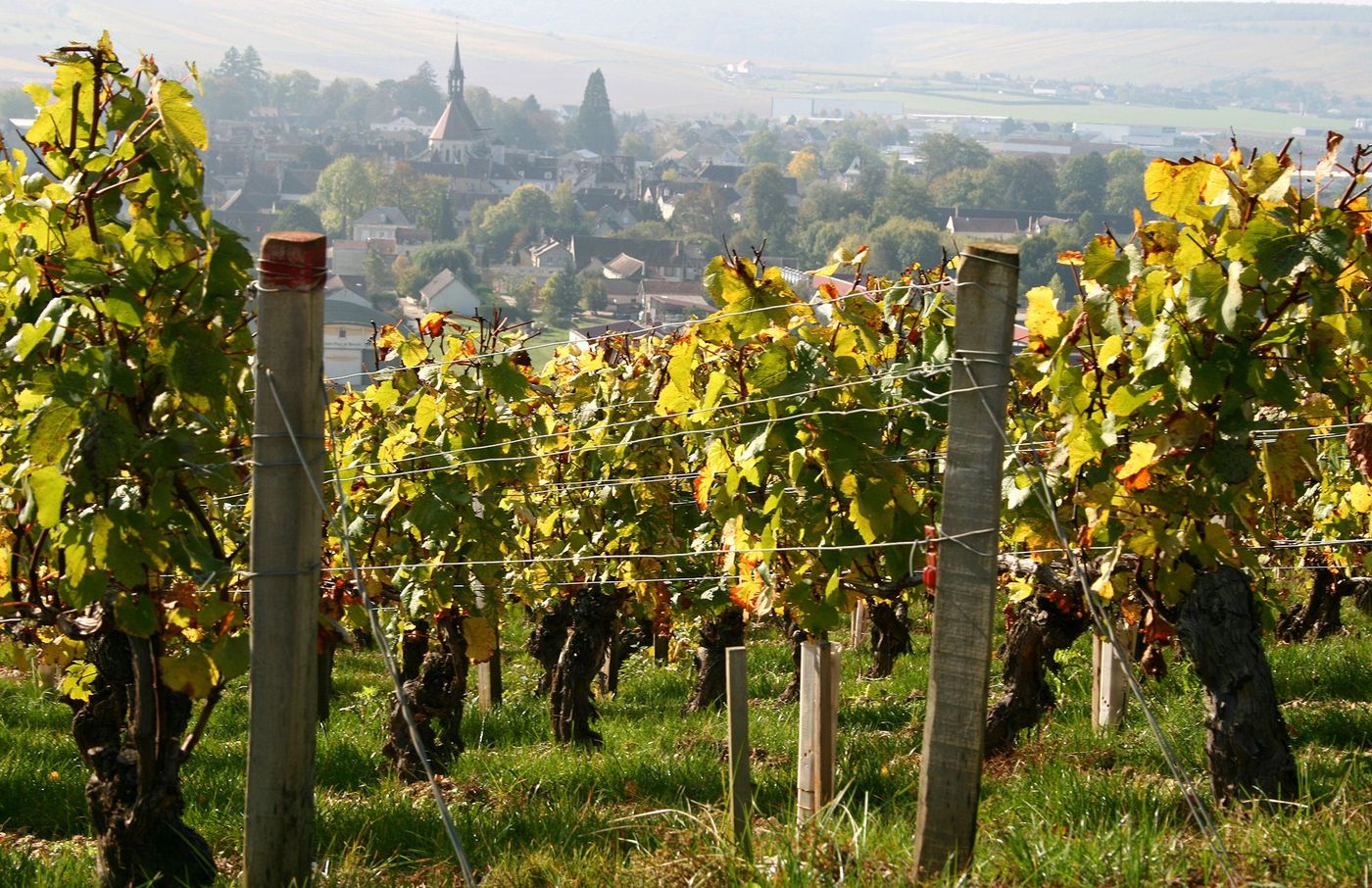 Bourgogne Vignobles Chablis