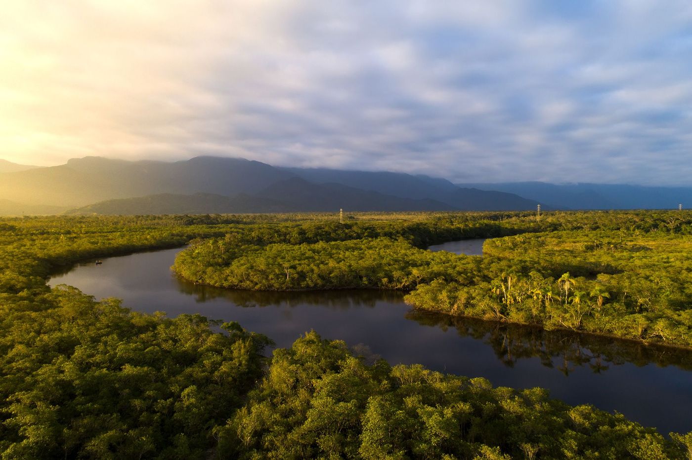 Brésil Amazonie