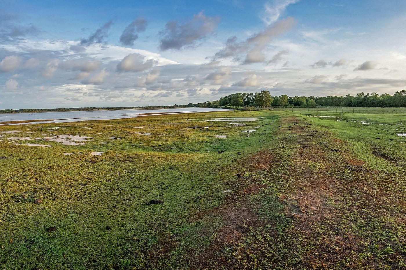 Brésil Amazonie Ilha de Marajo