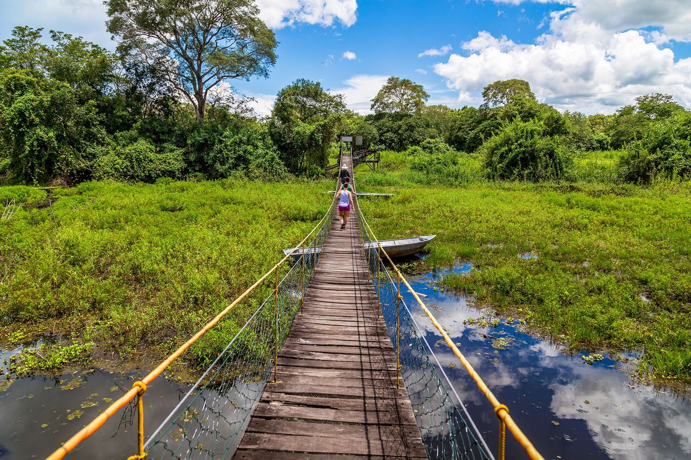 Brésil Pantanal