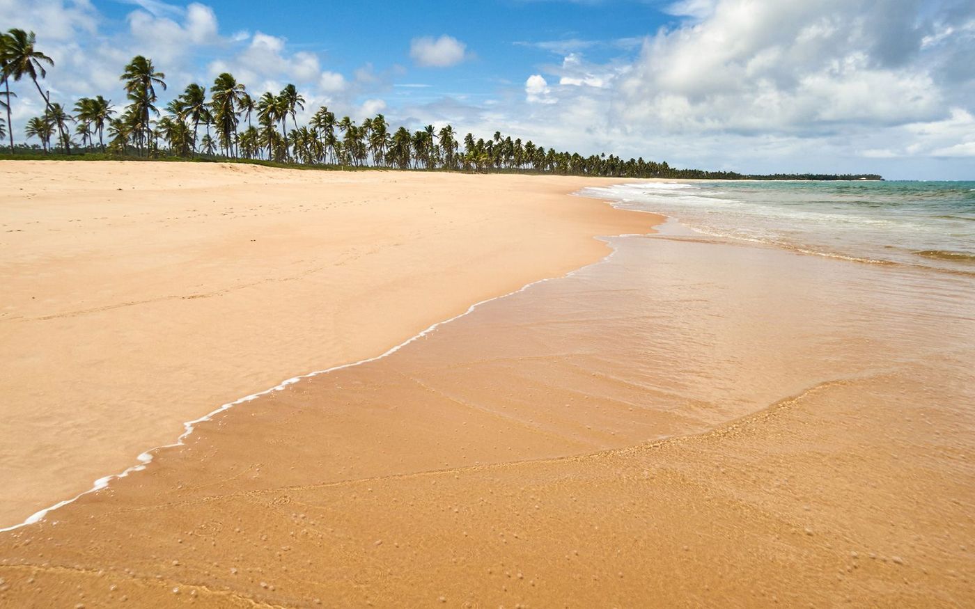 Brésil Praia do Forte