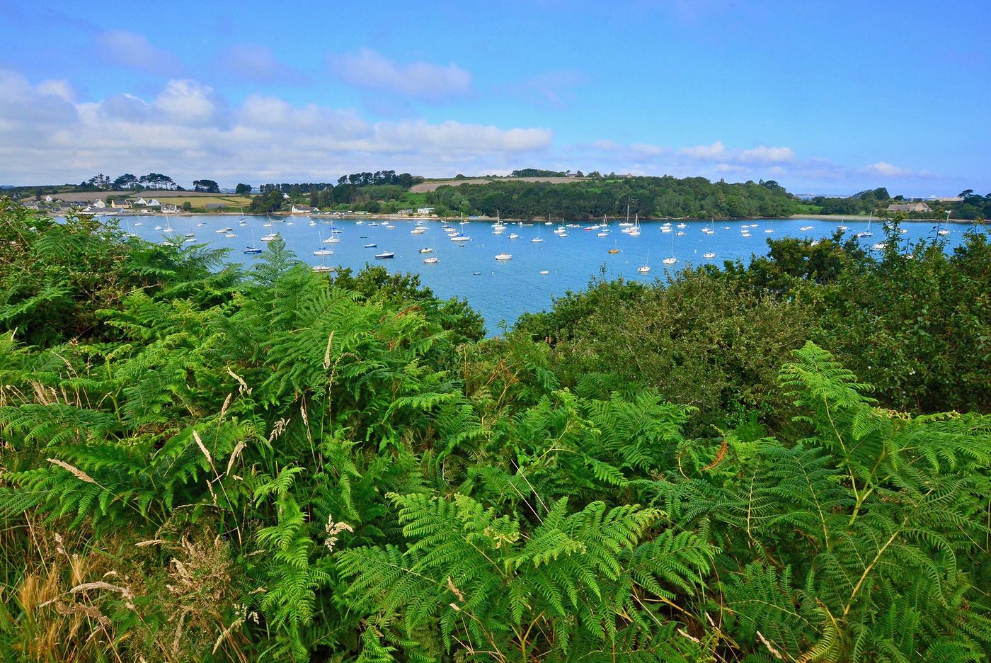 Bretagne Anse de Térénez