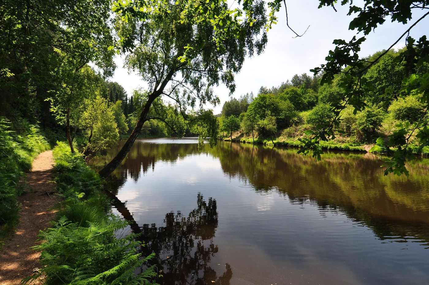 Bretagne Brocéliande Miroir aux fées