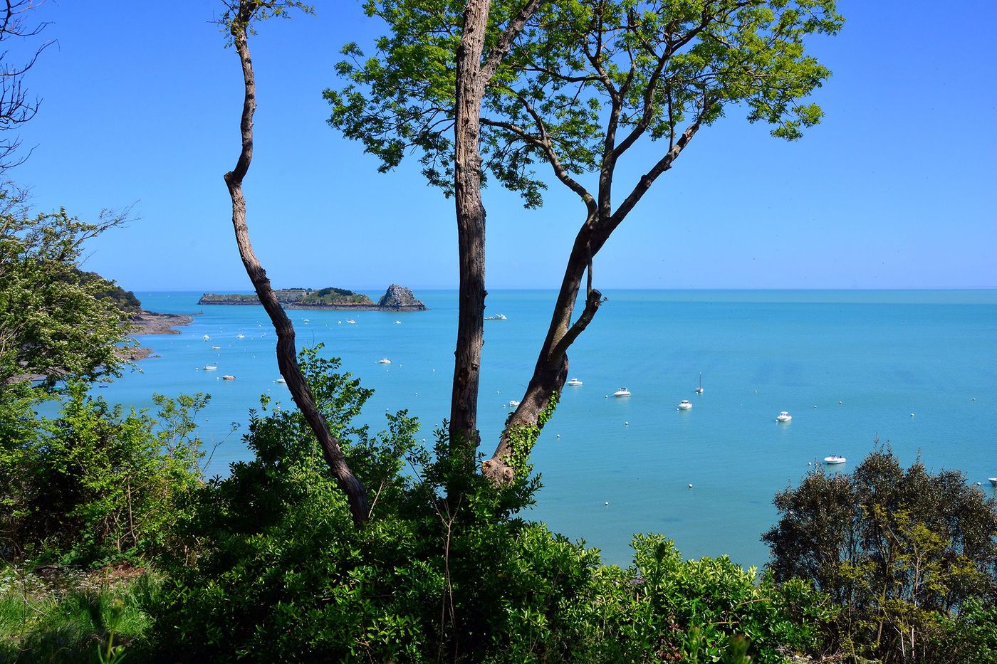 Cancale Sentier des douaniers