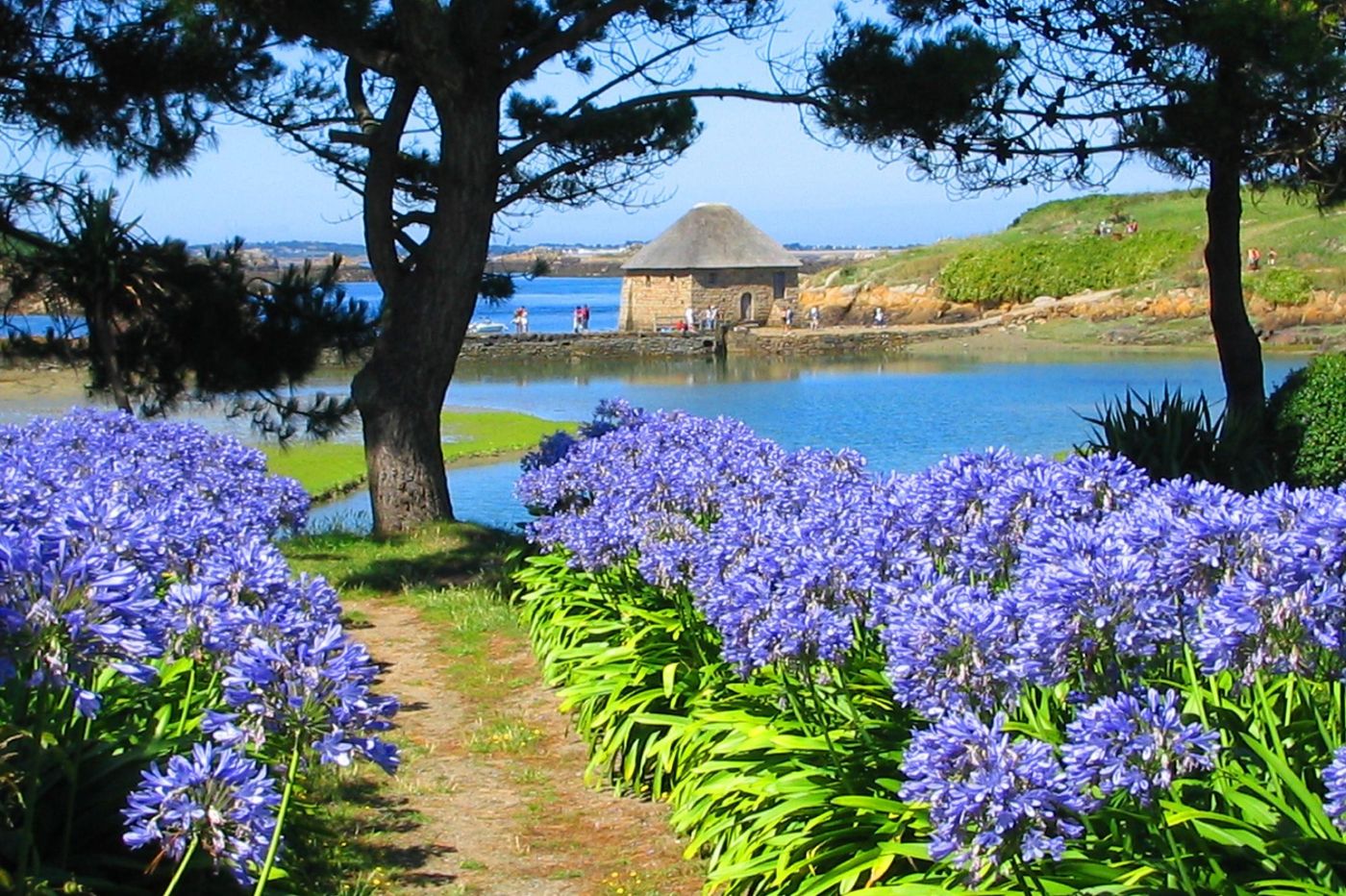 Bretagne Ile de Bréhat Moulin de Birlot