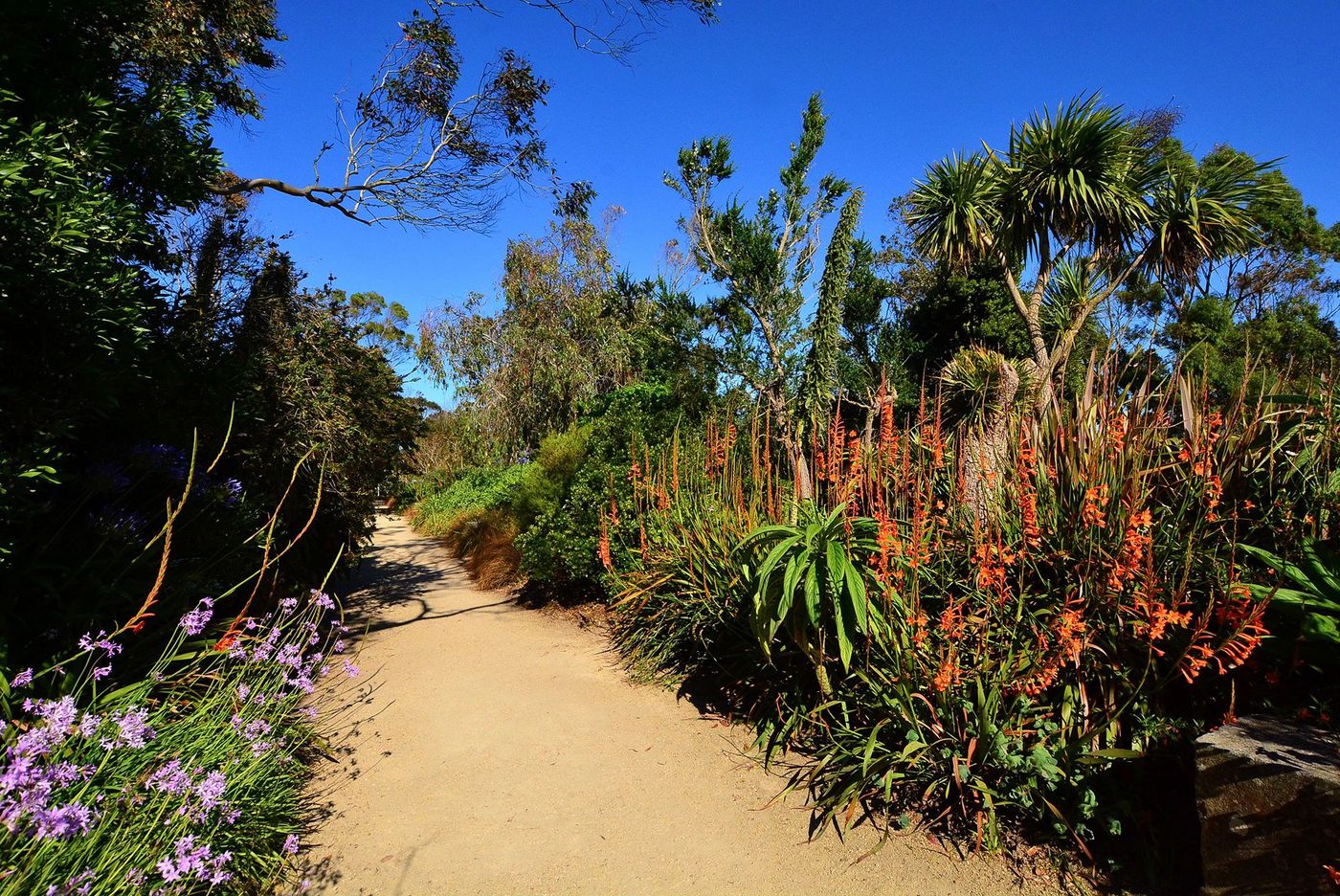 Bretagne Roscoff Jardin exotique