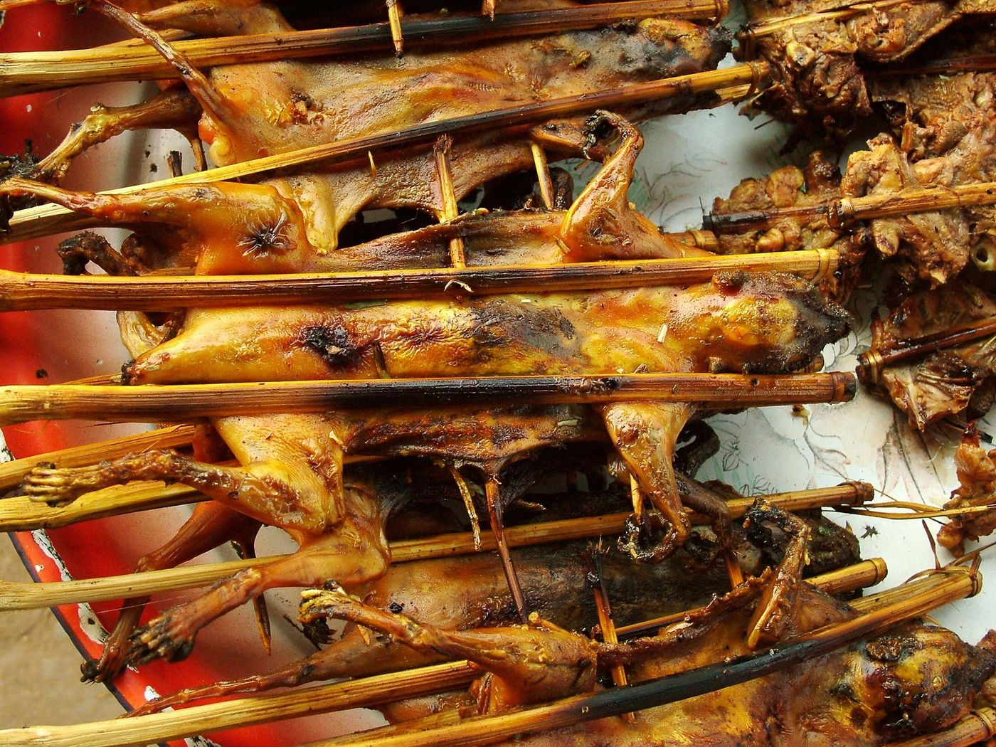 Brochettes de chauve-souris