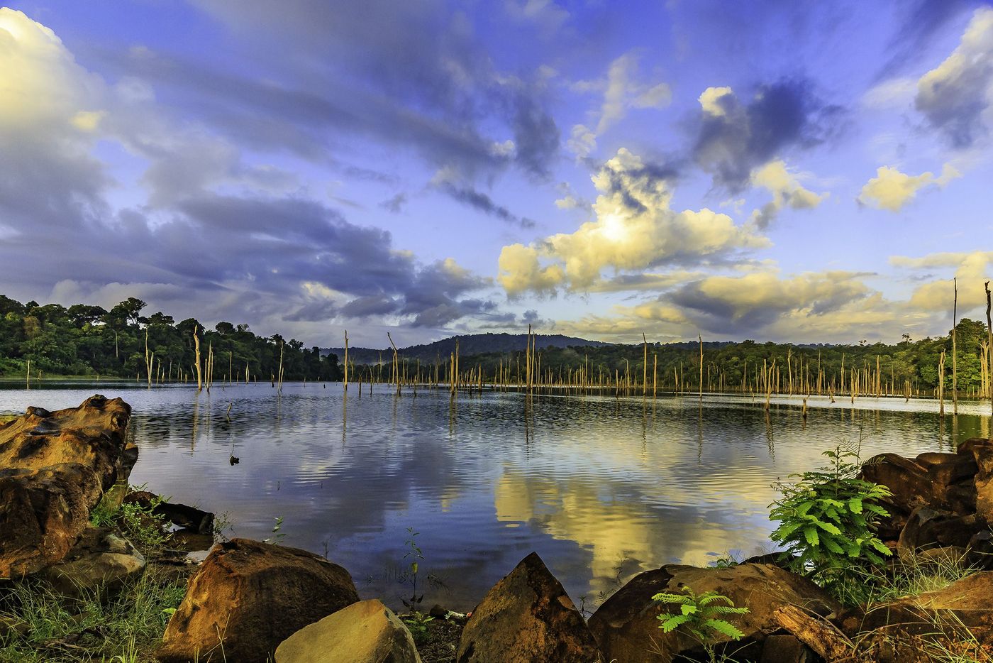 Surinam Lac Brokopondo