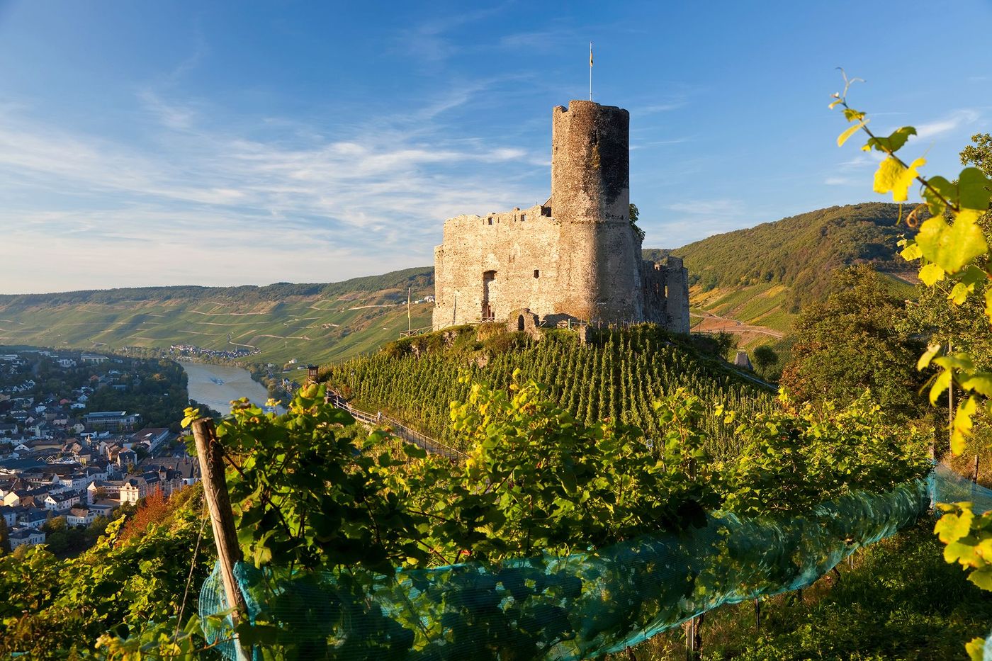Burg Landshut et vignes
