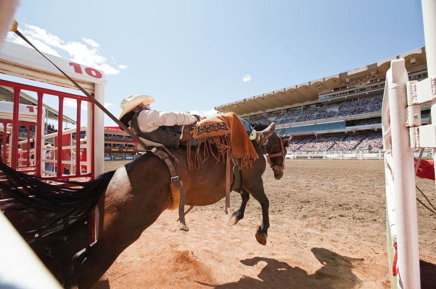 Stampede à Calgary