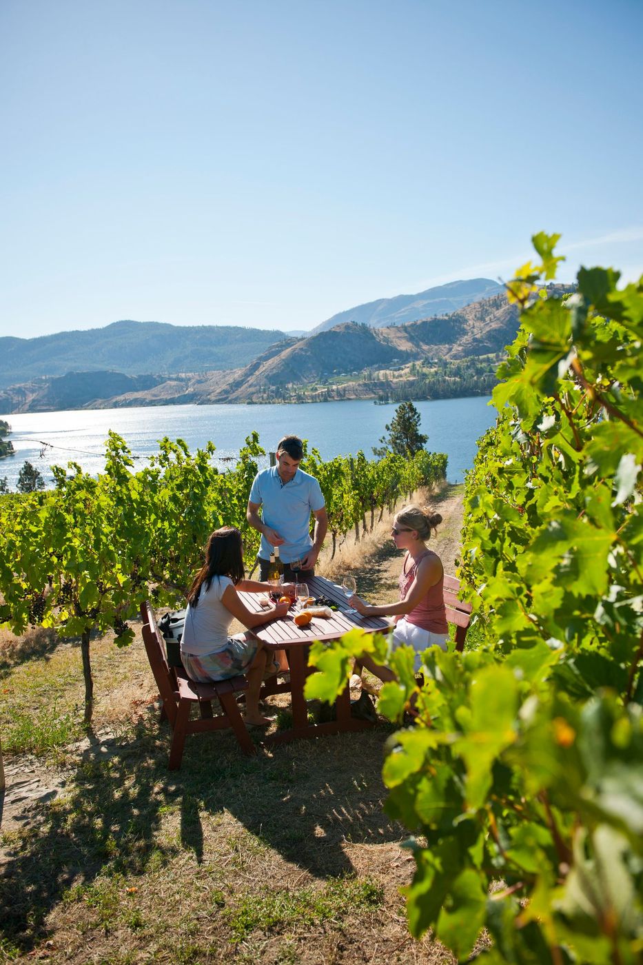 Vallée Okanagan Vignoble Blasted Church