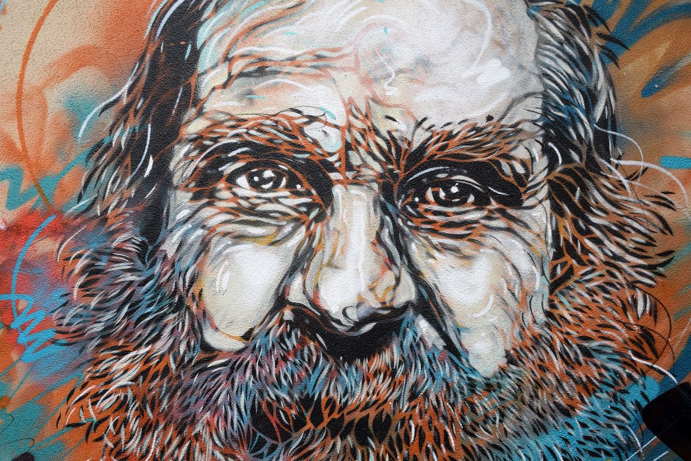 Street Art Paris 13 C215