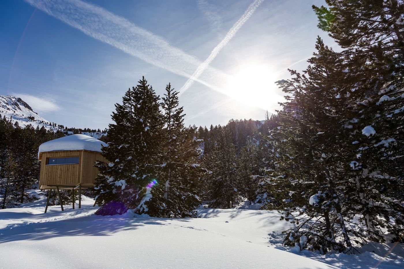 Cabane