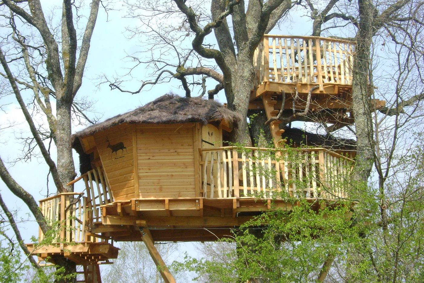 Parc de la Brenne Cabane