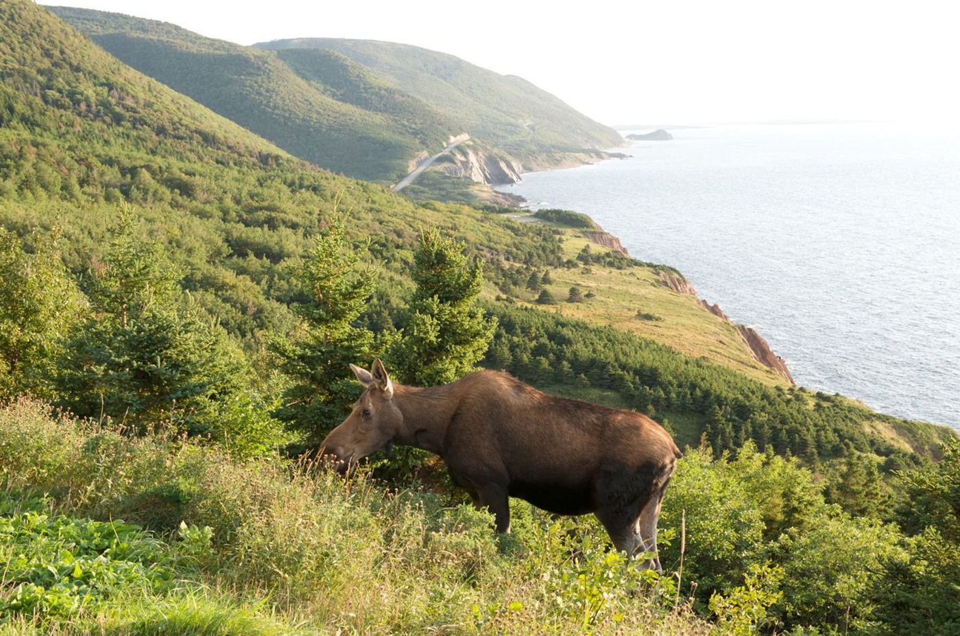 Canada Cabot Trail