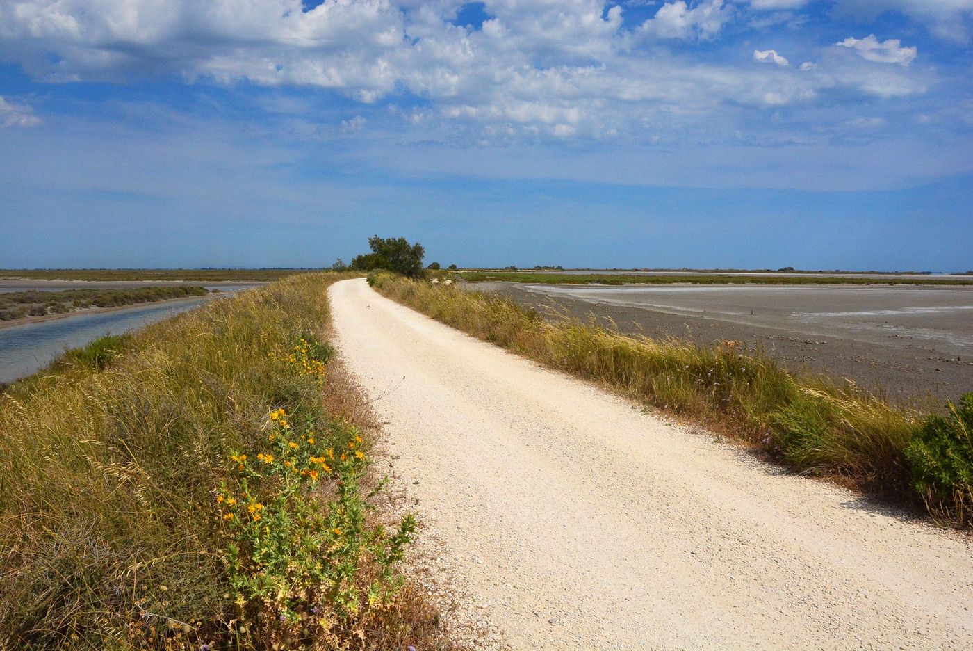 Camargue Digue à la mer
