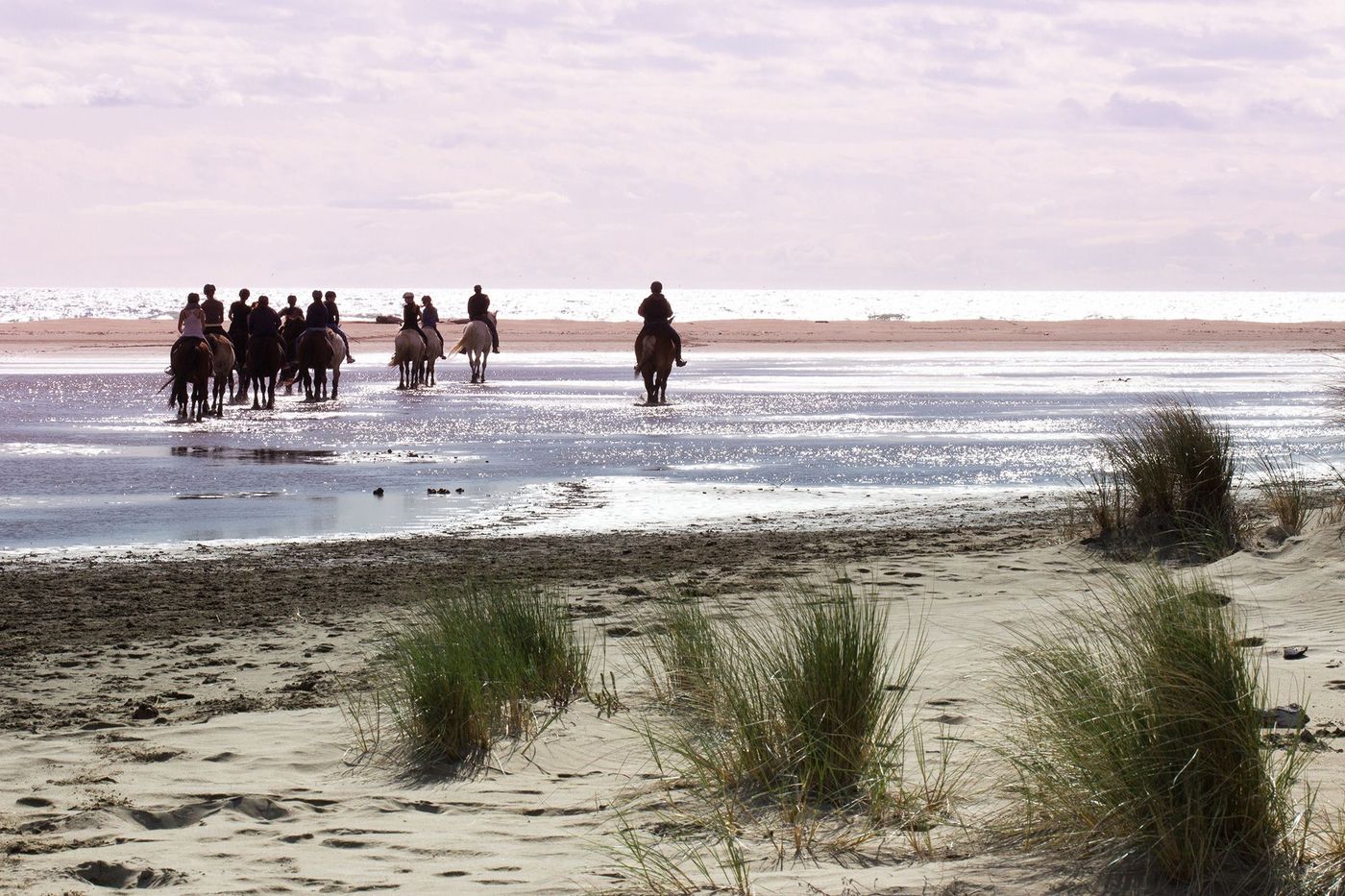 Plage de l'Espiguette
