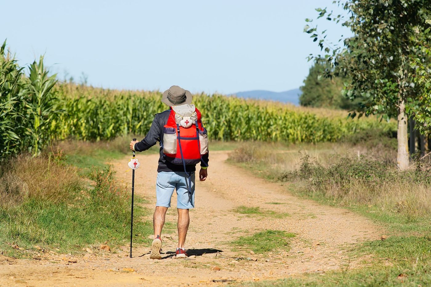 Camino francès - Leon